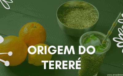 Origem do Tereré – A origem dessa bebida