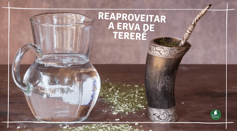 Por quantos dias pode ser utilizada a mesma Erva de Tereré