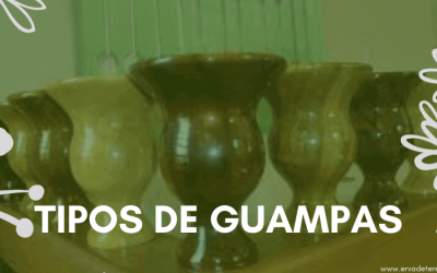Conheça os tipos de Guampas!