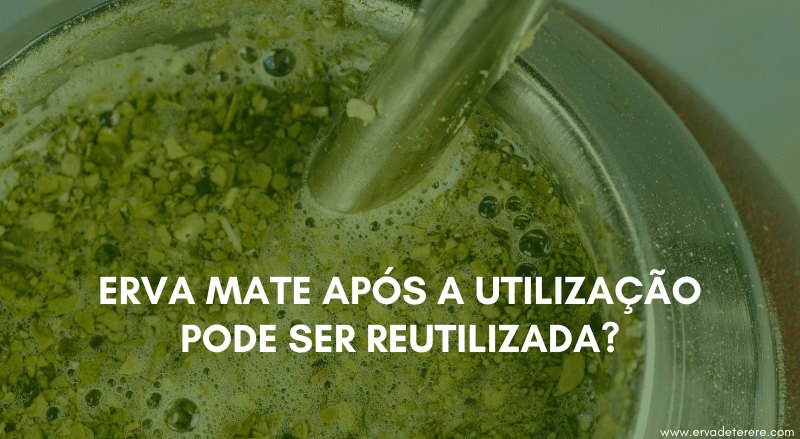 erva mate