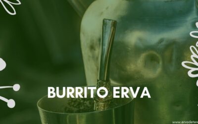 Burrito Erva: Conheça a planta que dá o aroma do Tereré!