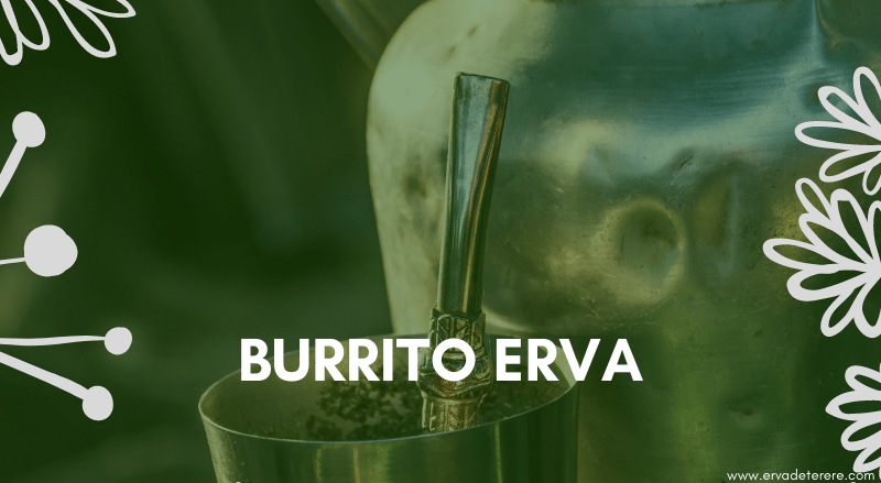 burrito erva