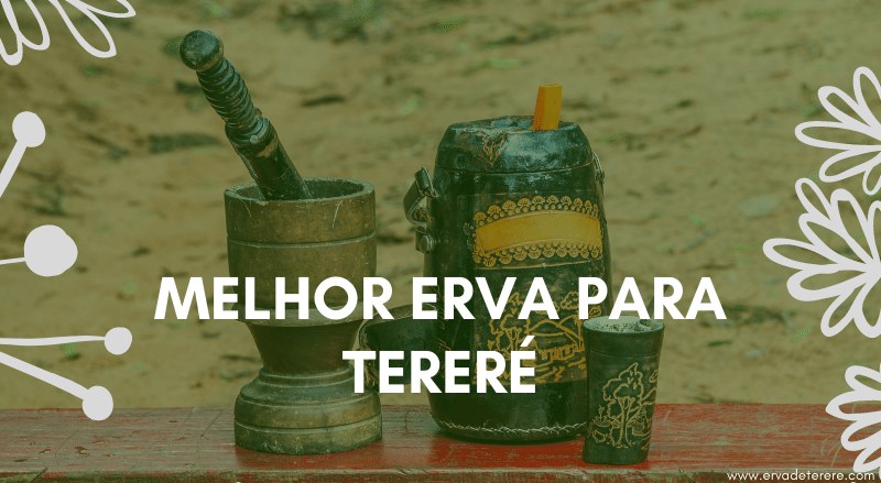 melhor erva para tereré