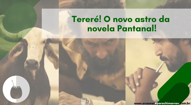 tereré