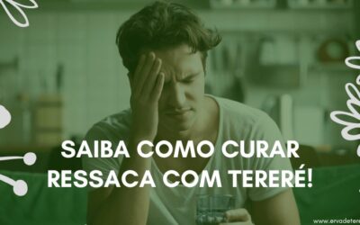 Saiba como curar ressaca com Tereré!