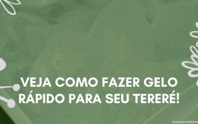 Veja como fazer gelo rápido para seu Tereré!